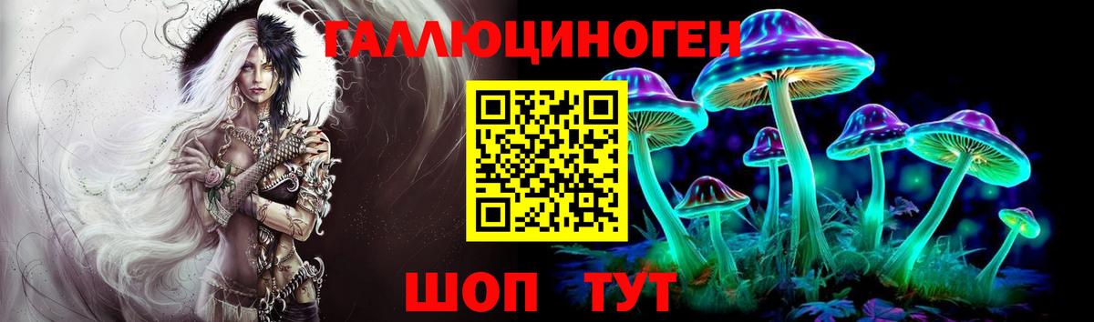 Щёлково  Псилоцибиновые грибы Cubensis  Вход с VPN 