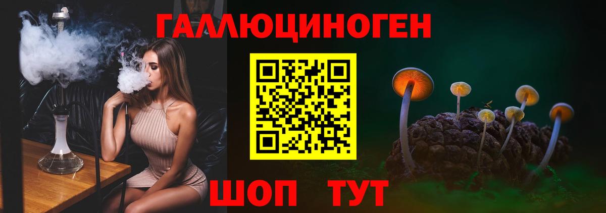 Псилоцибиновые грибы GOLDEN TEACHER Щёлково